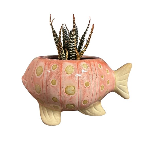 Pink Fish Mini Planter Pot | Tropical Shaped Fish Pot | 5" x 3" - Picture 7 of 11